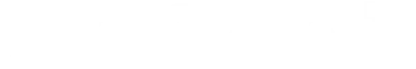 E-commerce Brands